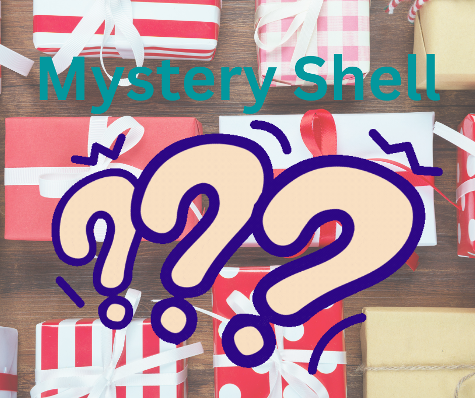 Mystery Petite Shell (8172929745136) (8172930334960)