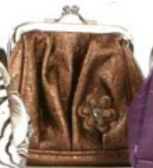 Kandace Coin Purse (4345418612809)