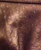 Kandace Coin Purse (4345418612809)